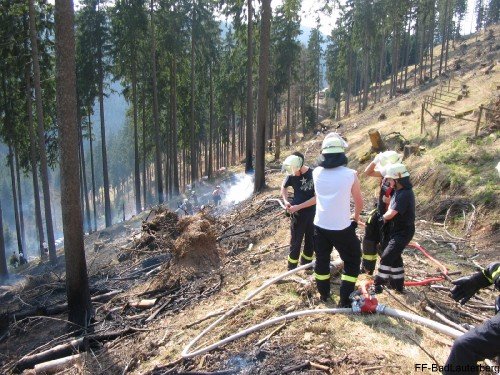 2009_04_10 Waldbrand Sieber 009